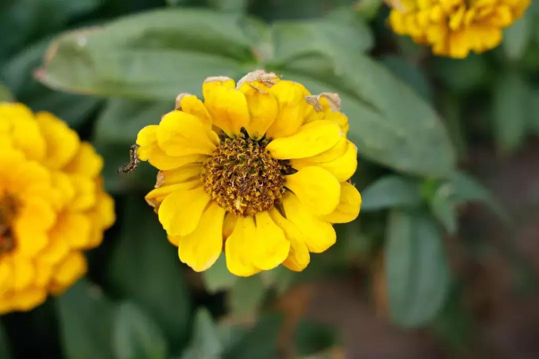 转接环如同原生操控性基因强大佳能EOSR初步评测