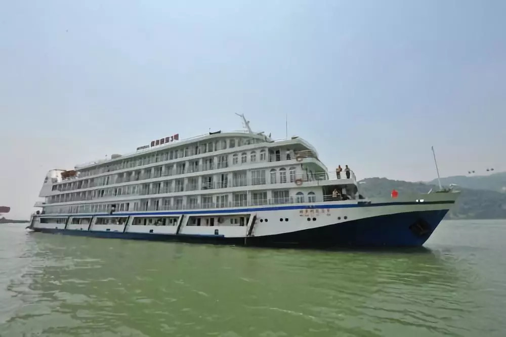 会跳舞的小汤包,会跳舞的清蒸蟹