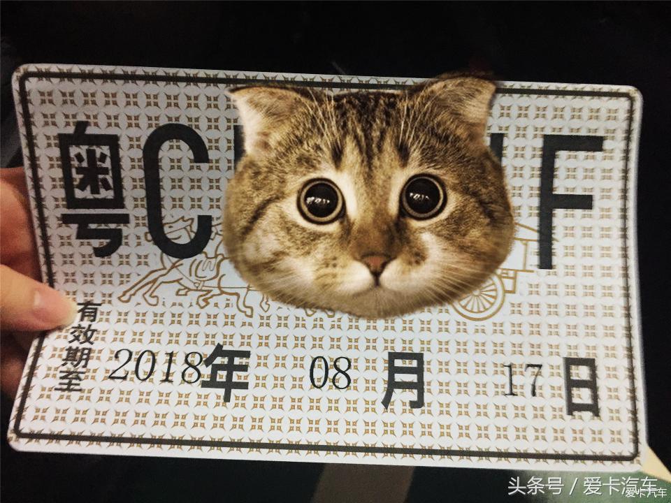 奥迪q5l留学生免税车,留学生免税车奥迪q5l