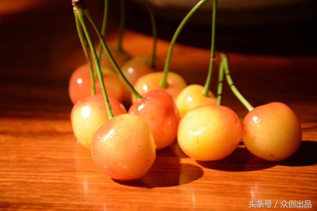 樱桃蔷薇,樱桃木槿