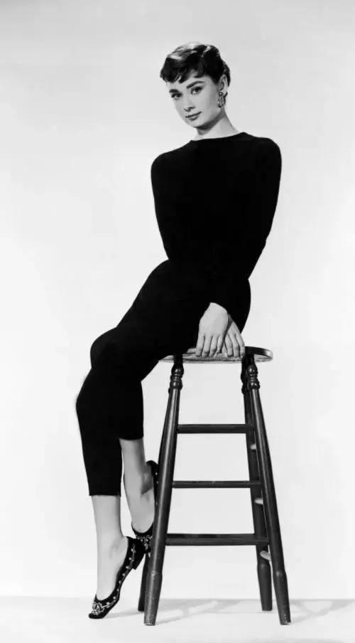 赫本复古鞋 (赫本鞋最新款式)