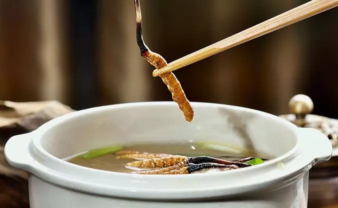 冬虫夏草配什么吃营养价值最高,冬虫夏草要配什么吃效果才好