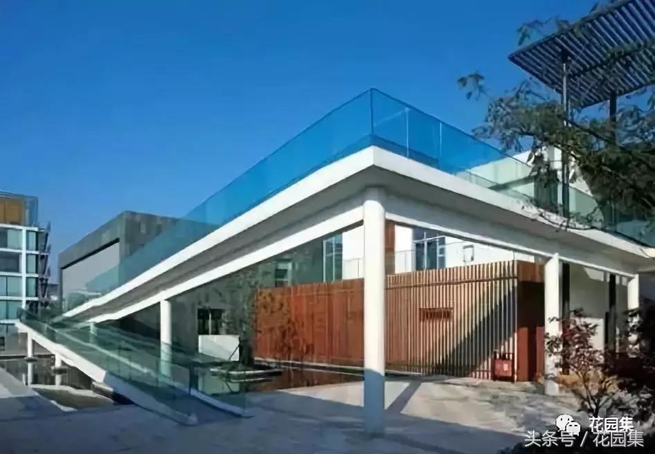 庭院栽什么树风水好,庭院最好的风水布局