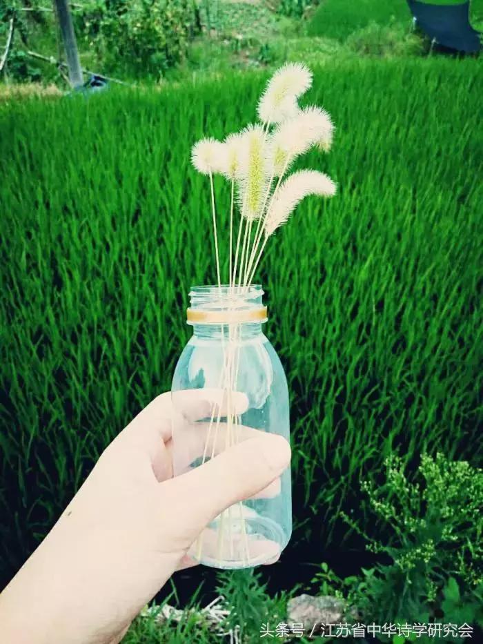 第三届童心里的诗篇征稿,第四届童心里的诗篇少儿诗会大赛