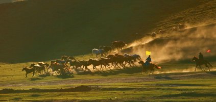 金秋坝上草原摄影,坝上秋天摄影攻略