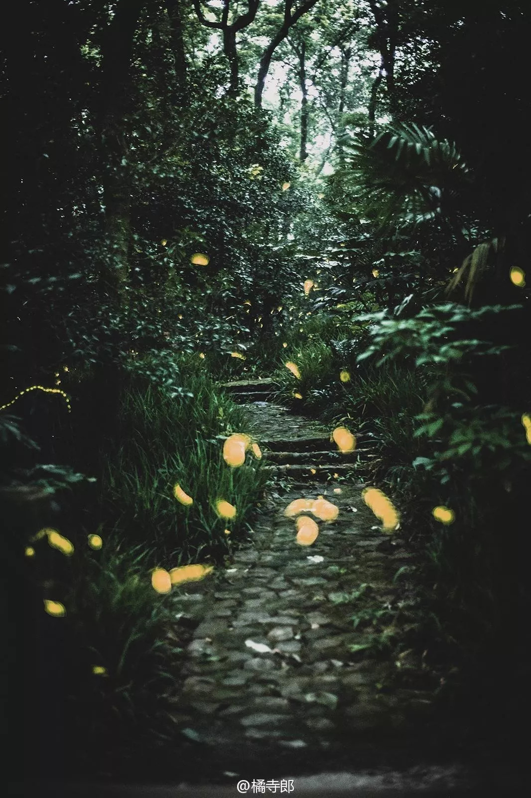 南京的夜晚真实图片,2005年的南京街头真实影像