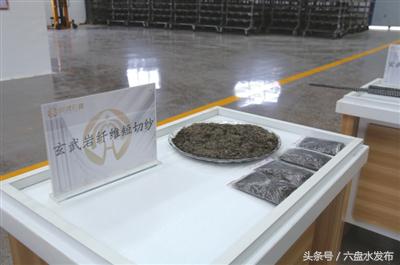 你好，我叫玄武岩！