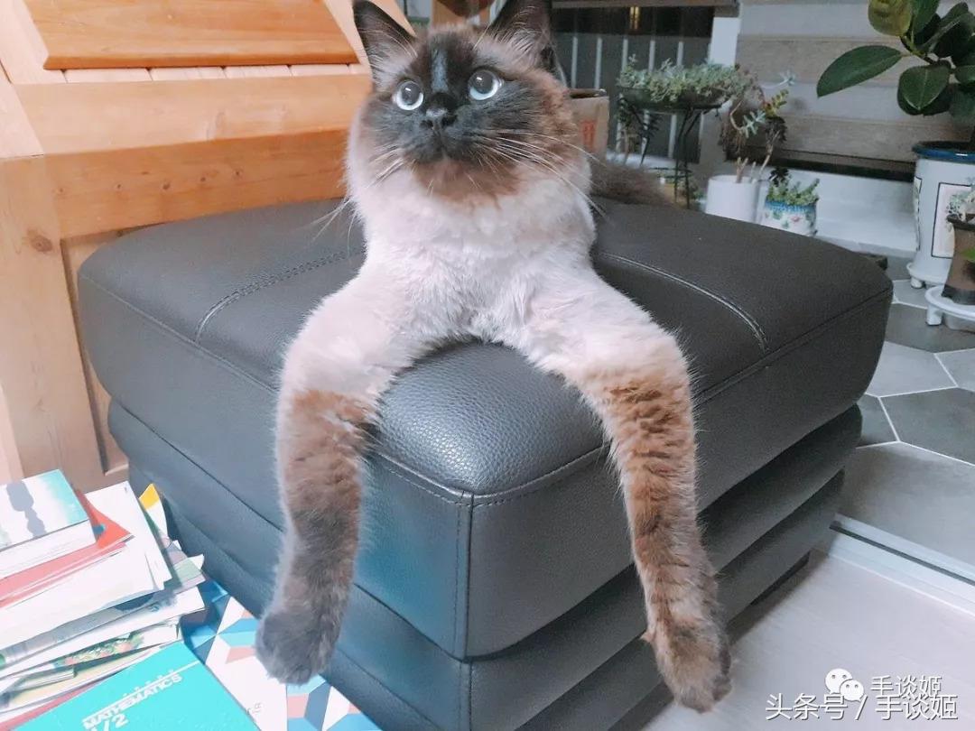 那些有史以来最沙雕的手办,那些被手办大佬神还原的沙雕