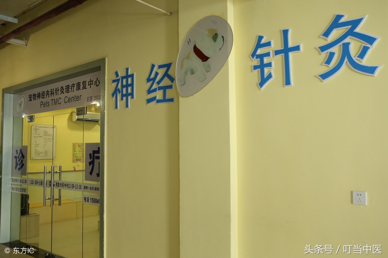 北京最好医院排名擅长科室,上海三甲医院特色科室排名