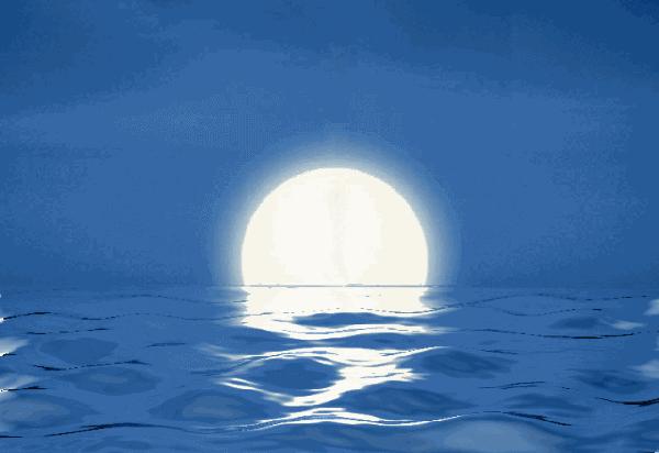 哪款月饼好吃而不腻,月饼推荐好吃便宜