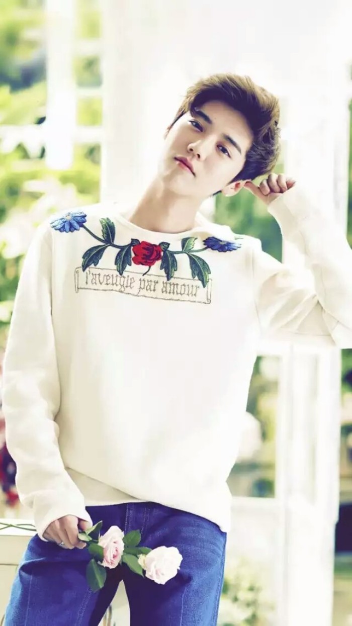 鹿晗壁纸动漫可爱,鹿晗壁纸古风手绘