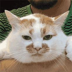 什么面霜美白抗衰老效果好 (40岁面霜抗衰老美白哪个牌子好用)