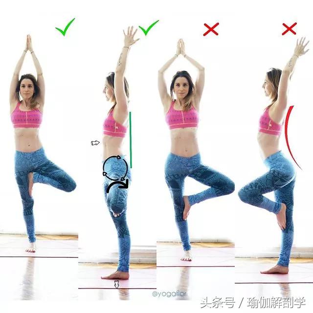 你必须了解的瑜伽基本常识,瑜伽小知识瑜伽入门八个基本常识