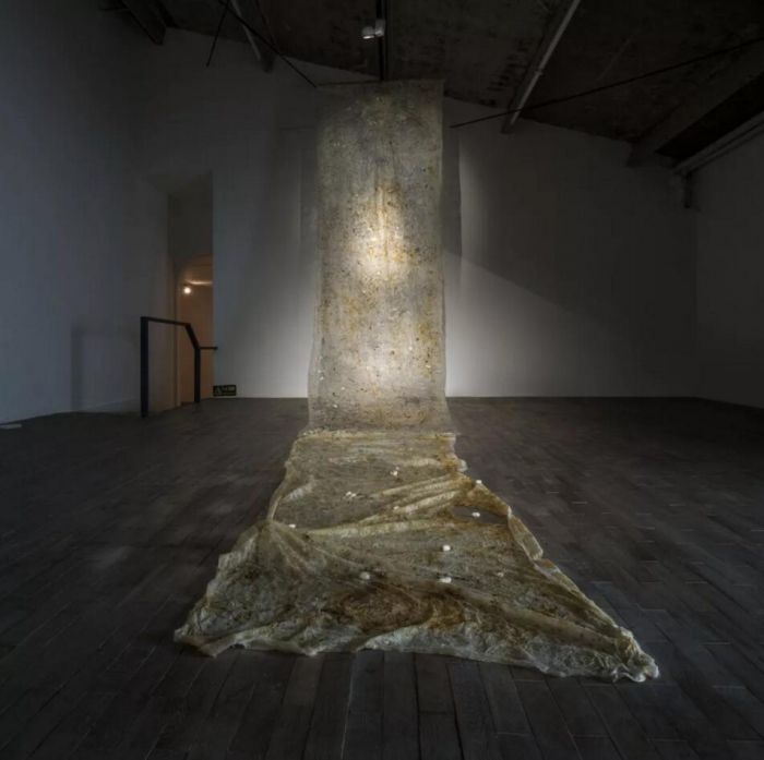 一个茧只有一根丝吗,一个茧是由一根丝组成的吗