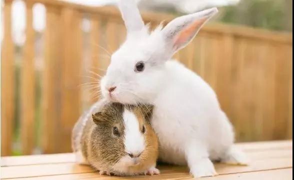 亲子牧场推荐,亲子牧场有哪些