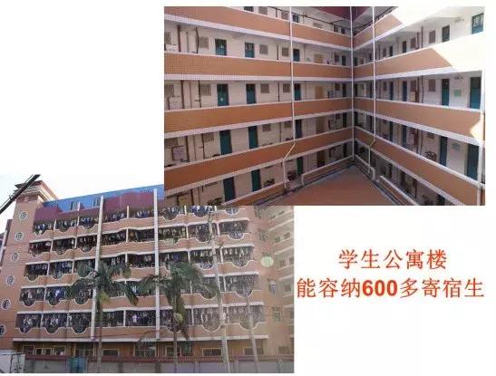 名校解码丨扎根“船政”的东区新一类——师大二附中