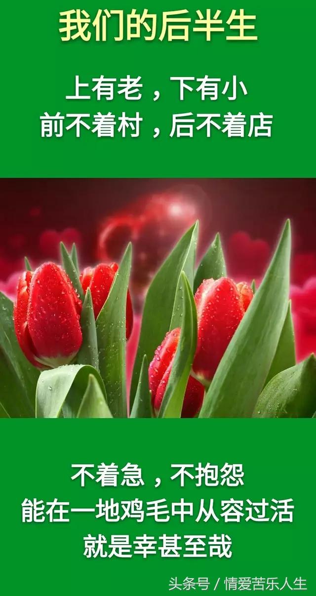 我们的后半生的美文,我们的后半生全集