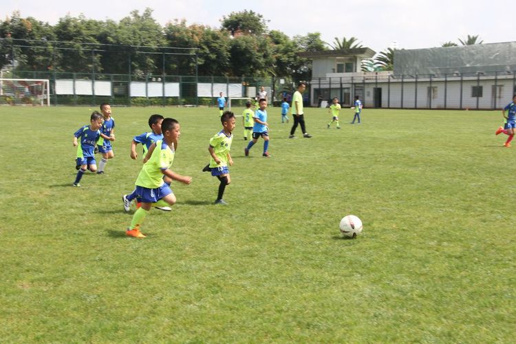 孩子踢足球算体育加分吗,孩子学踢足球有多厉害