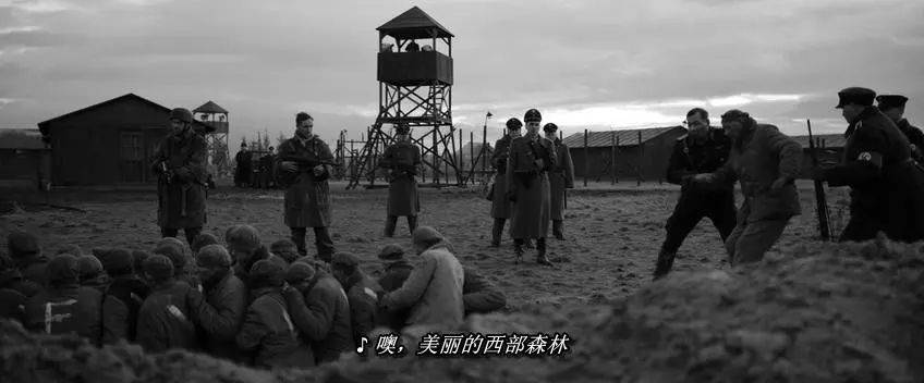 2021年最好的战争片,年度最佳战争片