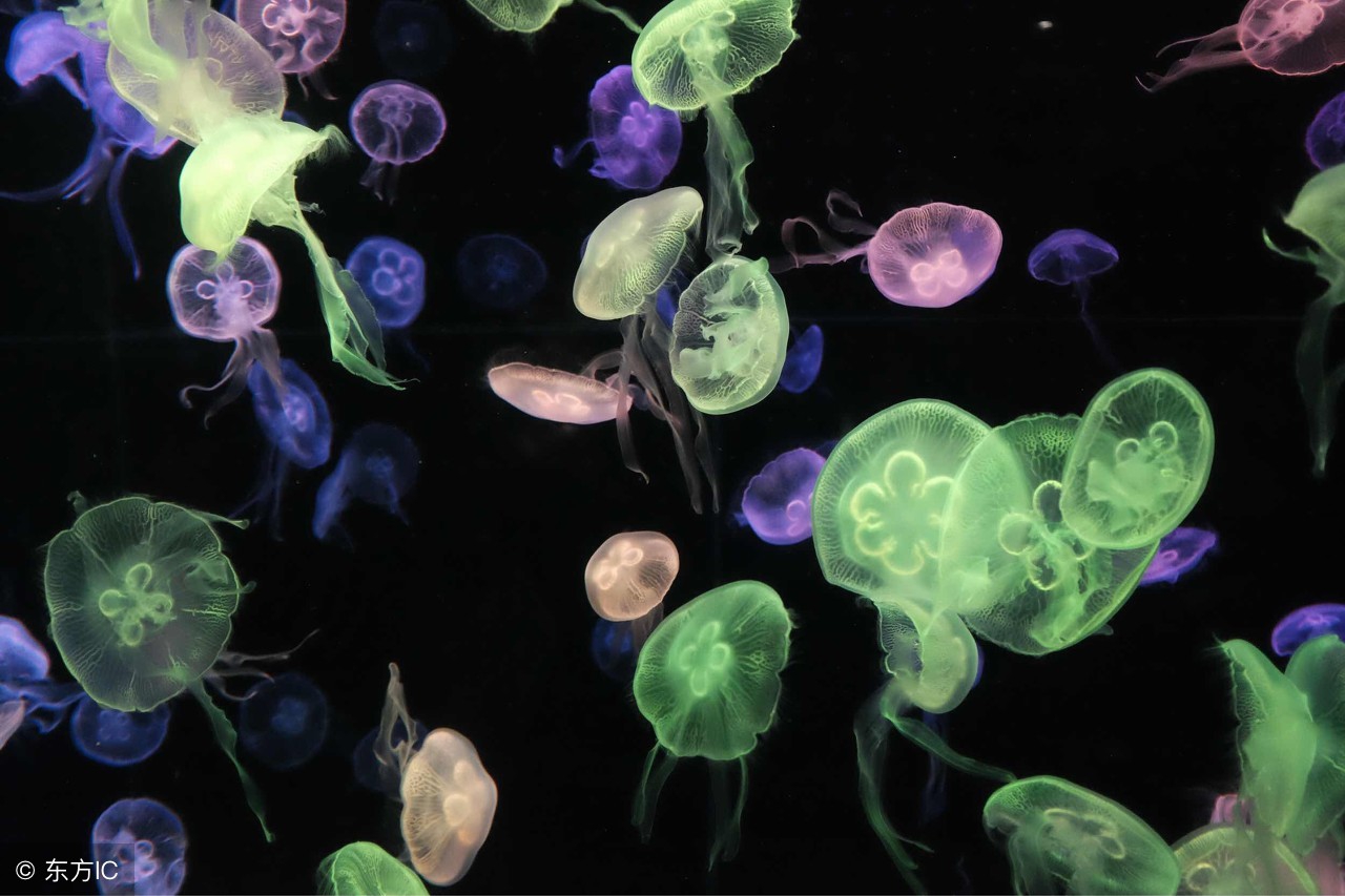 这6种病不能治愈,皮肤有类似出血的小红点是什么病