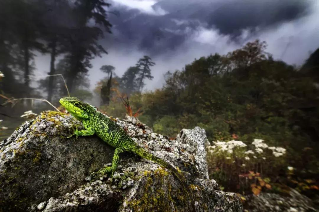 大美云南写真,大美云南山水