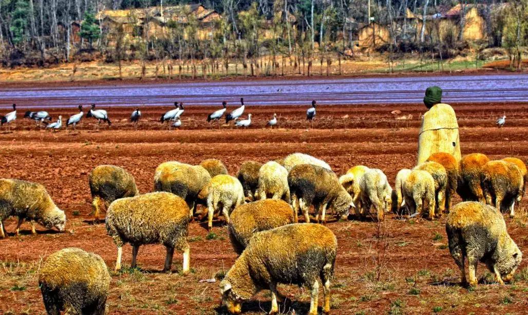 大美云南写真,大美云南山水