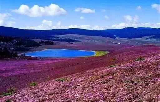 环云南自驾旅游攻略最佳线路,南宁自驾游云南最佳旅游攻略