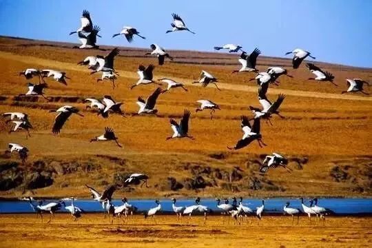 环云南自驾旅游攻略最佳线路,南宁自驾游云南最佳旅游攻略