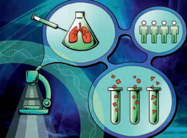 卫生知识丨规范治疗肺结核，科学防护保健康