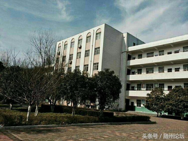 生态教育促成长浓墨重彩绘华章——记阔步前进中的洪山镇中心学校