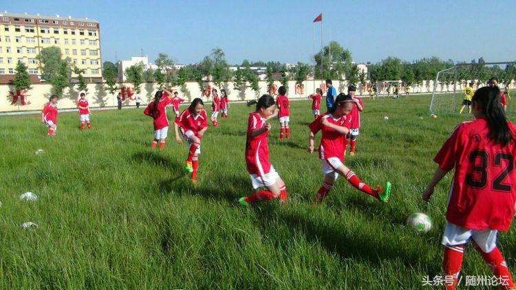 生态教育促成长浓墨重彩绘华章——记阔步前进中的洪山镇中心学校