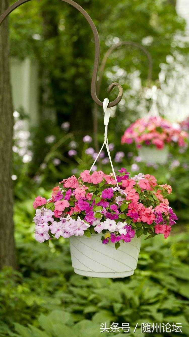 生态教育促成长浓墨重彩绘华章——记阔步前进中的洪山镇中心学校