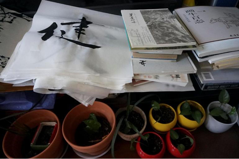 「劫后，余生」MH370，等你的1600多个日夜