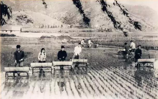 100张绝密南康老照片,100张信丰绝密老照片