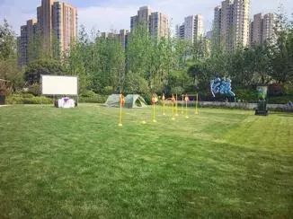 「每日微报」支付宝转账时备注标签要交20%的税?这是谣言!