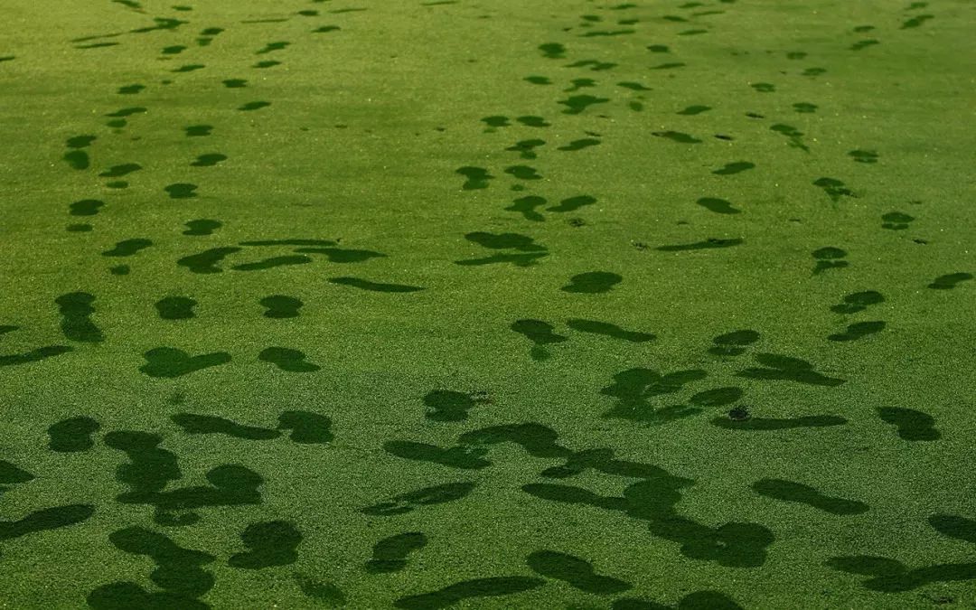 宇宙中最大数字单位你了解多少,宇宙中最大的数字计数单位