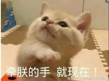 怎样用一百元吃遍上海美食街,如何用100元吃遍美食