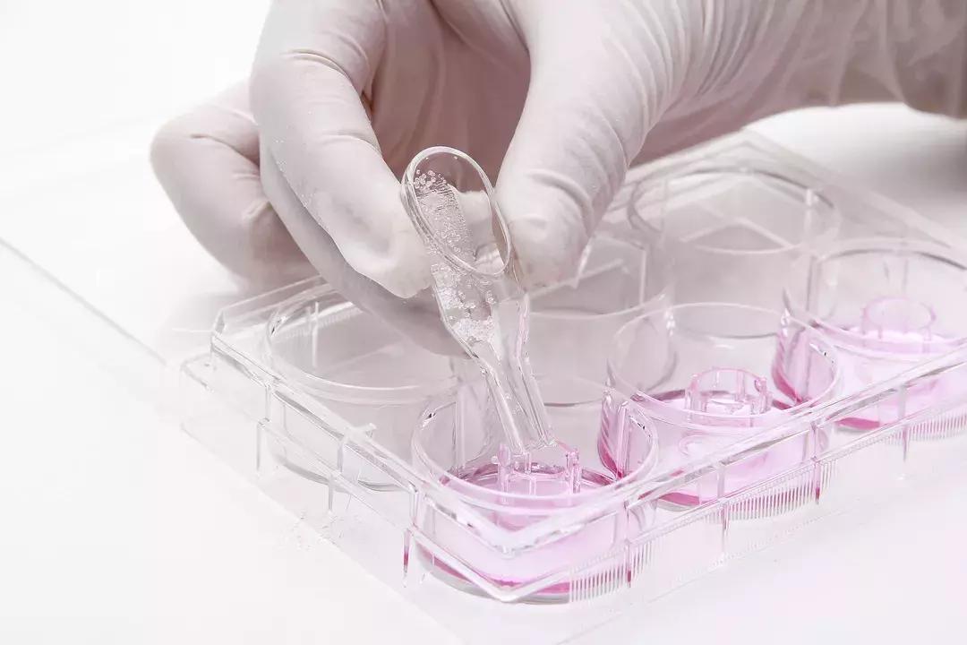 广东佰鸿再生医学有限公司,项目巡礼