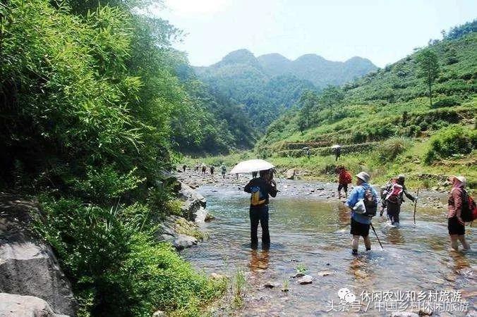 农业体验活动创意项目,休闲农业体验活动评估