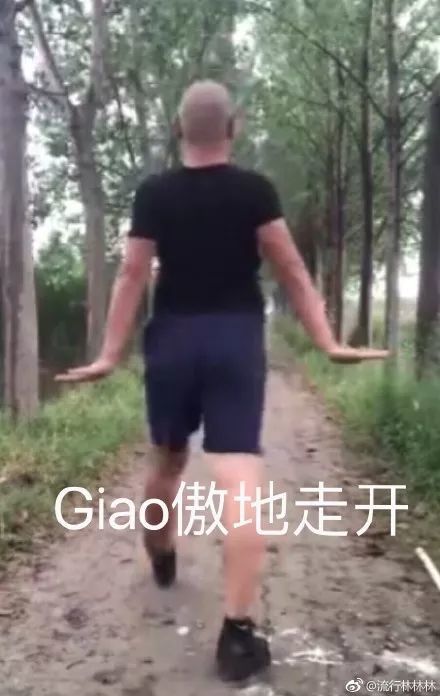 一给我里giao是什么梗,你给我的giaogiao梗是什么