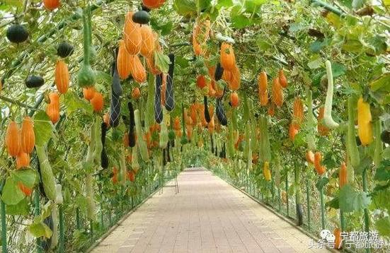 与大自然的完美邂逅,与大自然亲密邂逅