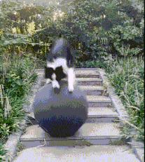 ▶昨天老妈教弟弟做作业，我弟不动脑筋思考，每道题都问...