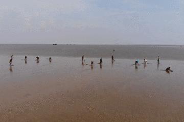 开海特别新鲜的海鲜有哪些,开海了有什么应季海鲜