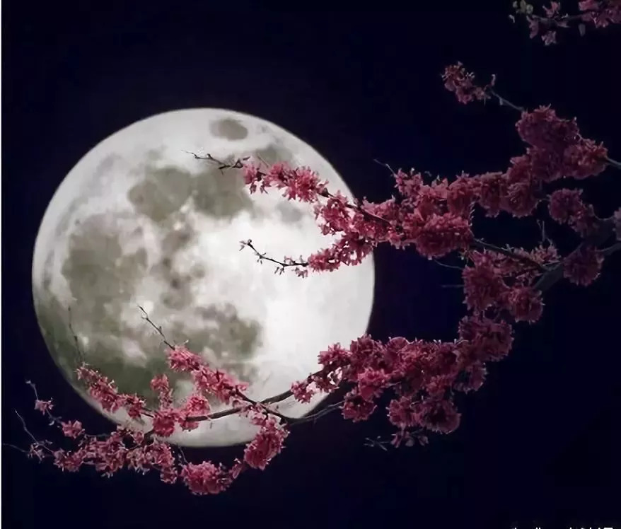 中秋温泉活动,中秋赏月旅游报价