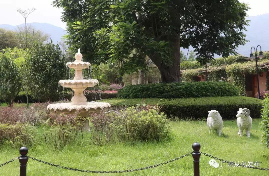 从化森林里的温泉,从化温泉度假详细旅游攻略