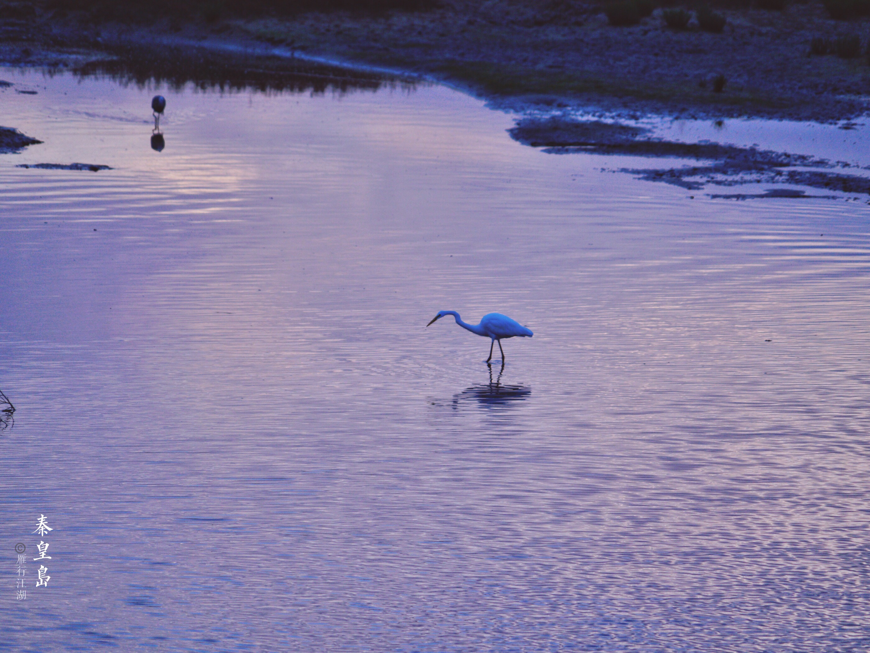 秦皇岛鸽子窝看日出攻略,秦皇岛动物园到鸽子窝