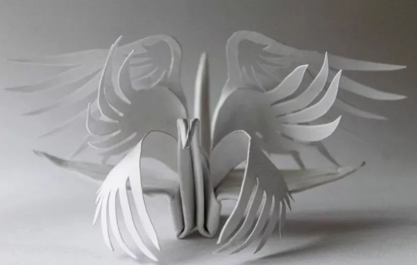 每天折一个千纸鹤,每天折一只纸鹤