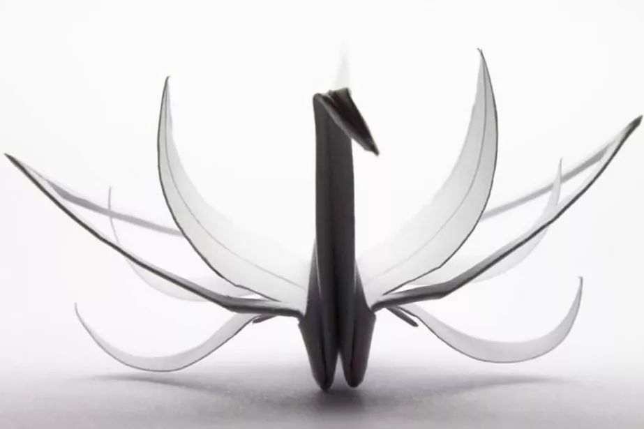 每天折一个千纸鹤,每天折一只纸鹤