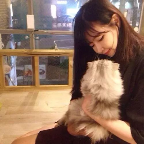 灵魂画师也有freestyle，今夏最火爆“battle”竟在谷歌开发者大会！