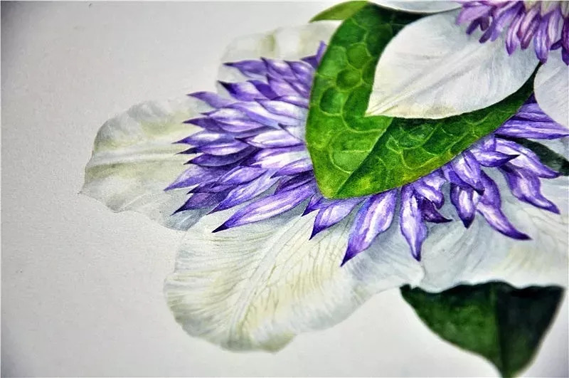 她画的超写实水彩花卉美到窒息,让人惊艳的水彩画